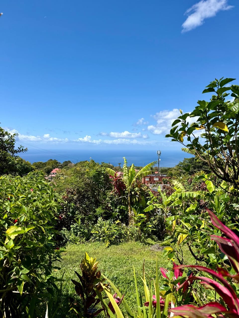 Gîte Ti Volkan House in Leeward Islands