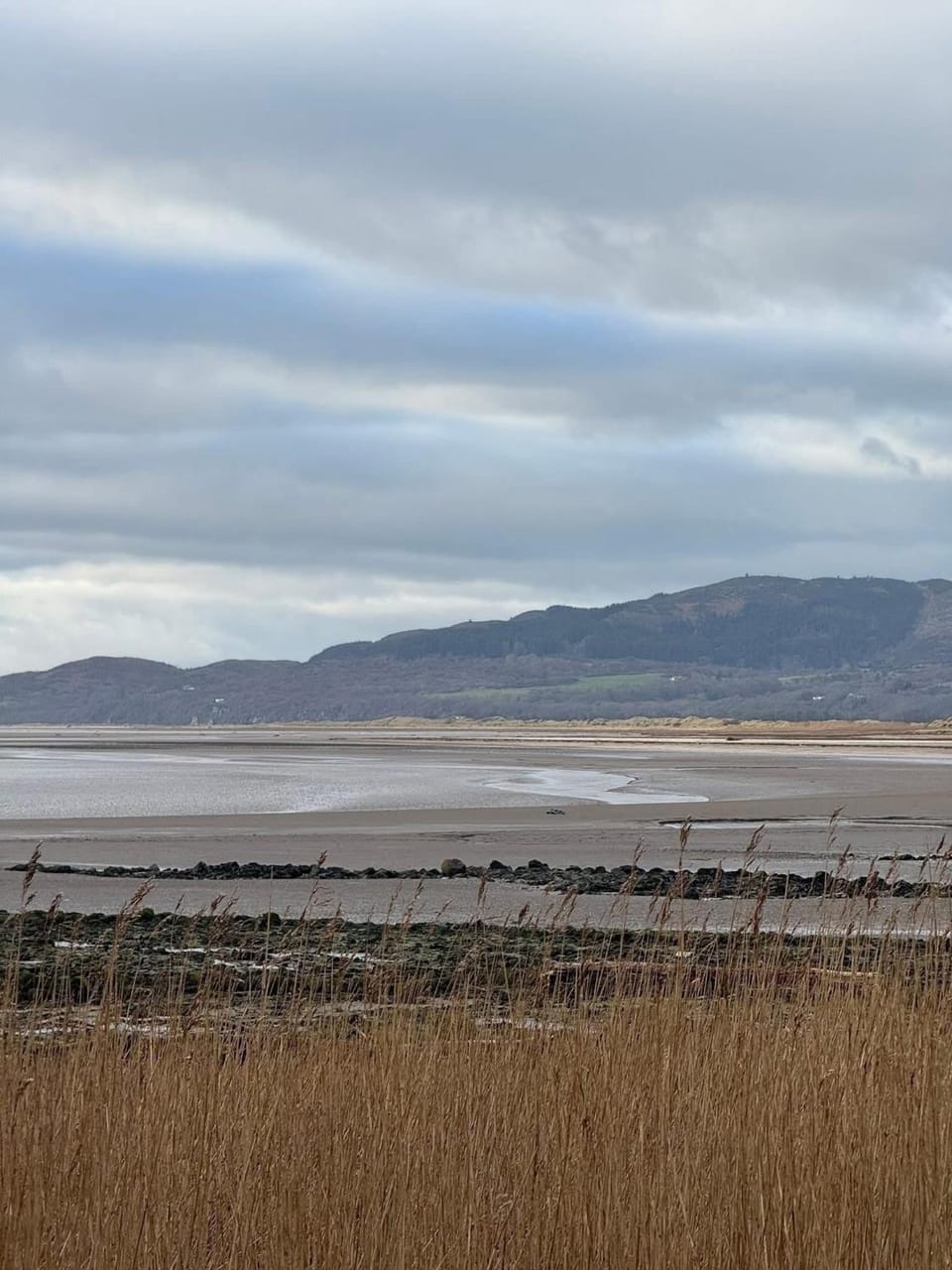 Paws a while Apartment in Southerness