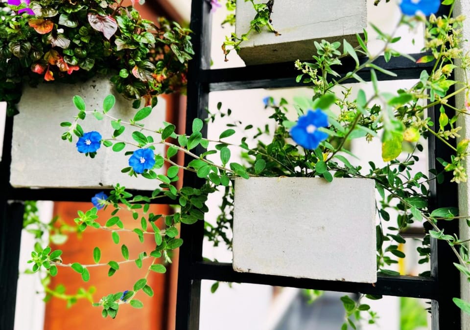Property building, Garden, Decorative detail, Decorative detail