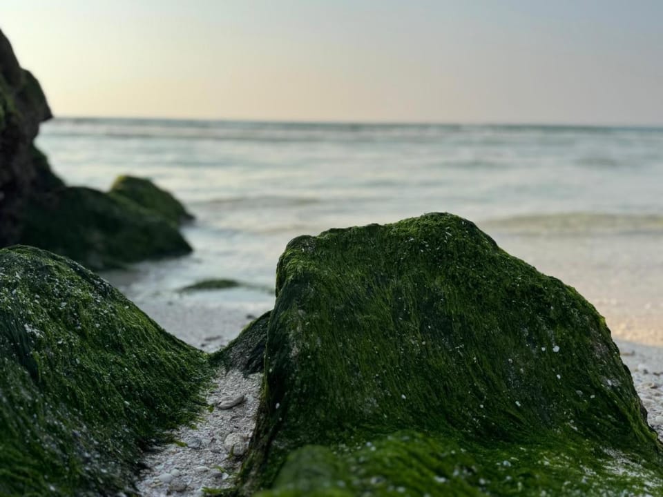 Natural landscape, Beach