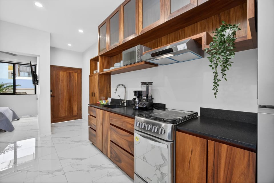 Unit Berengena Romantic Zone Apartment in Puerto Vallarta