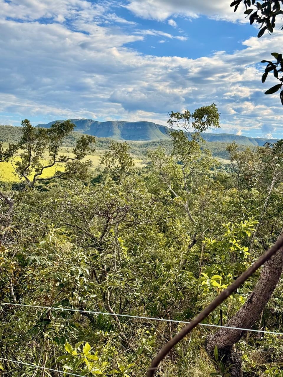 Mountain view