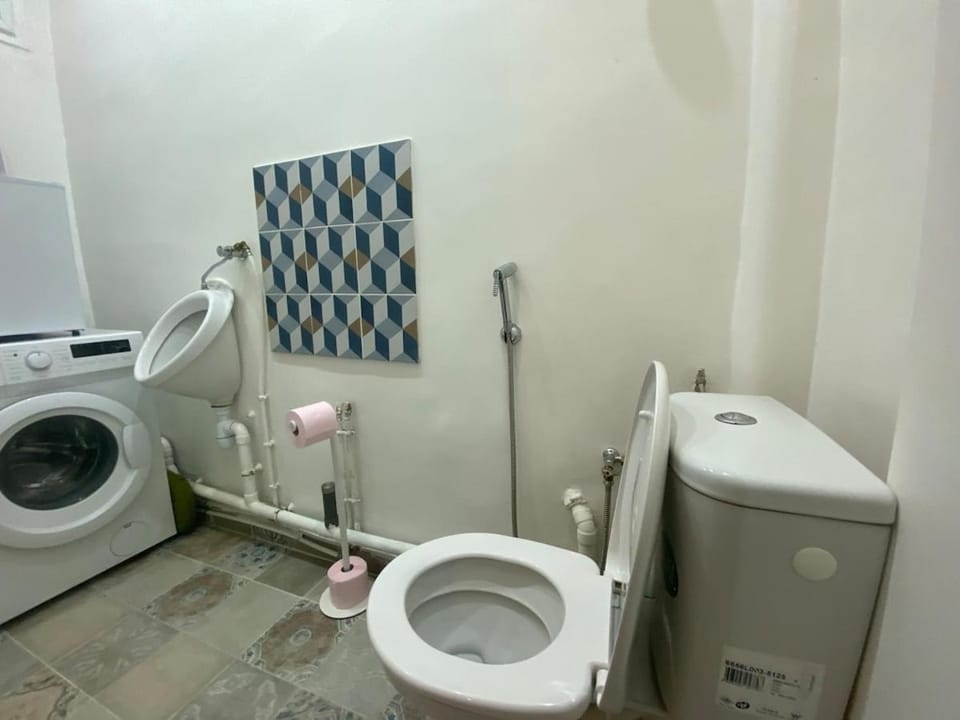 Toilet, washing machine