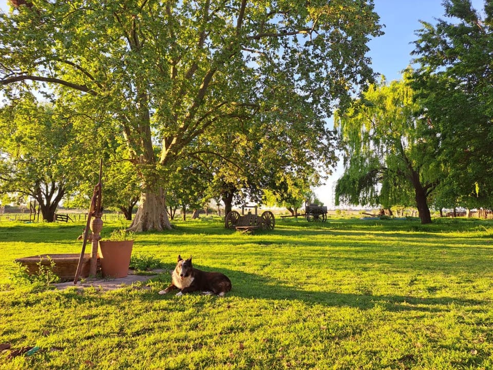 Garden view