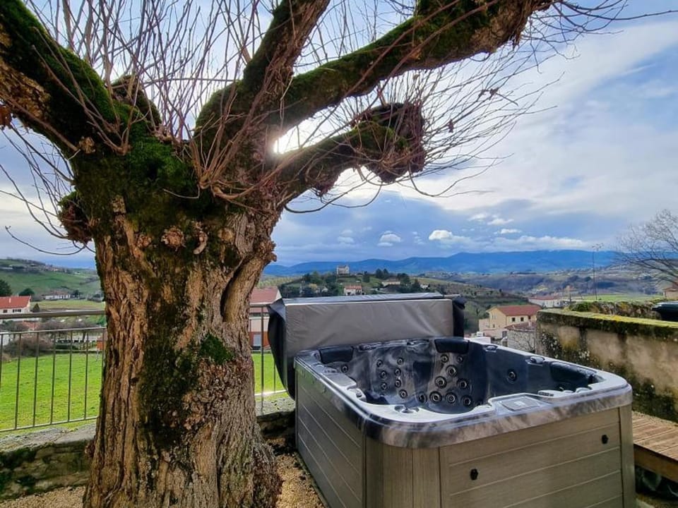 Gîte, animaux acceptés - 14 pers. entre Pilat et Lyonnais - FR-1-496-385 House in Auvergne-Rhône-Alpes
