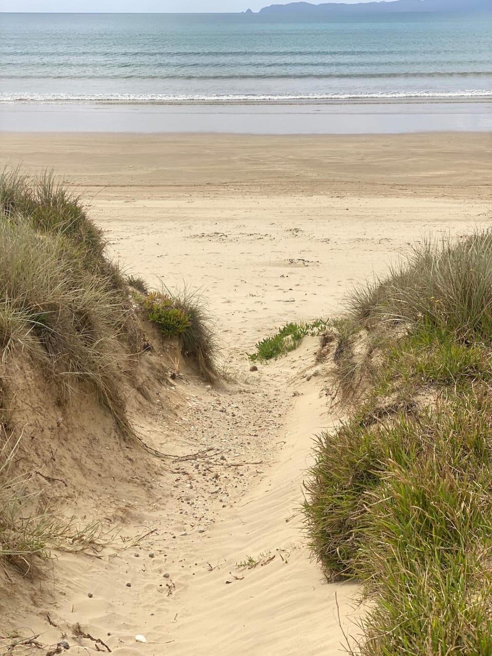 Beachcomber's Rest - Beachfront Tokerau House in Northland