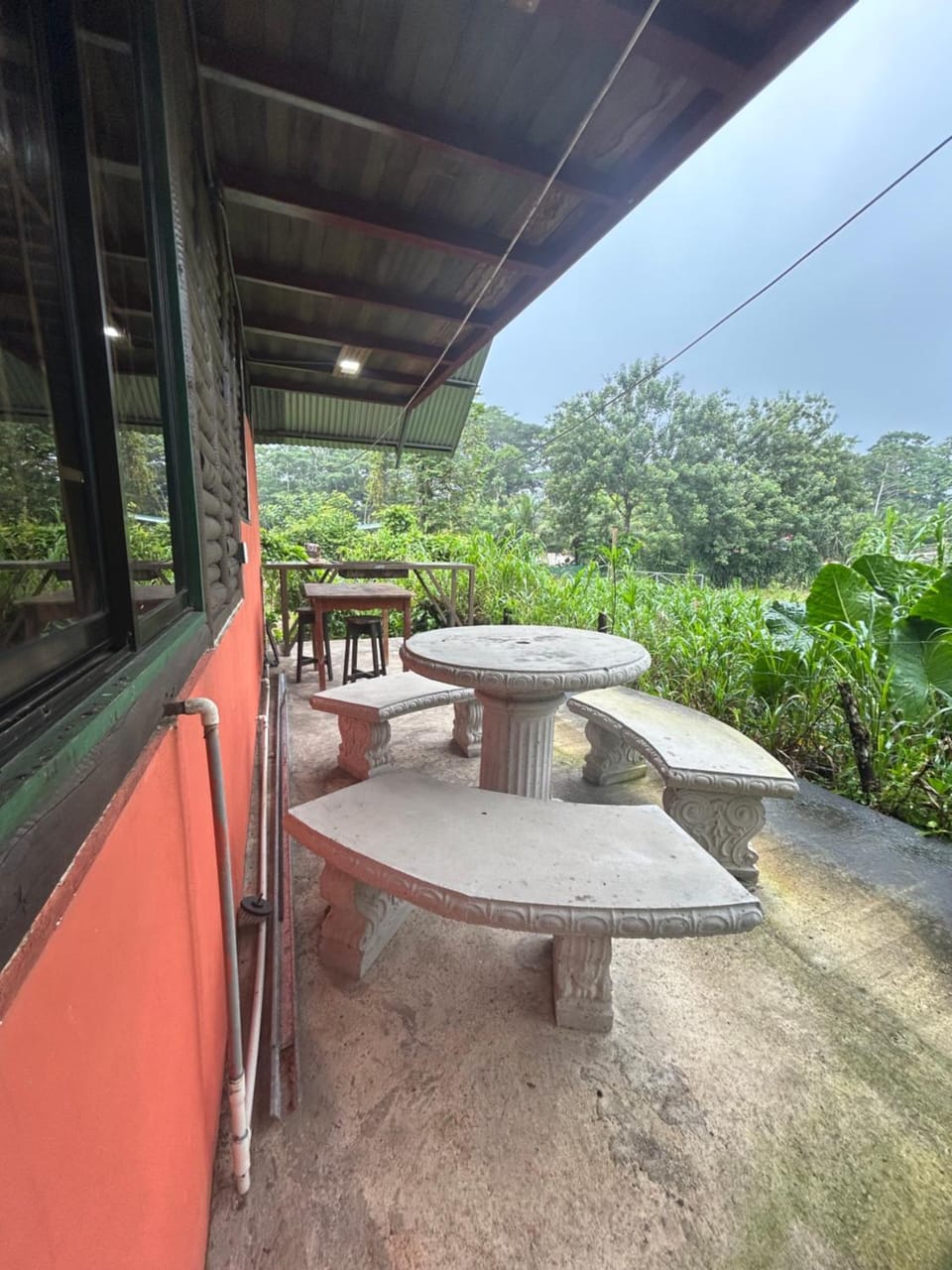 Garden view