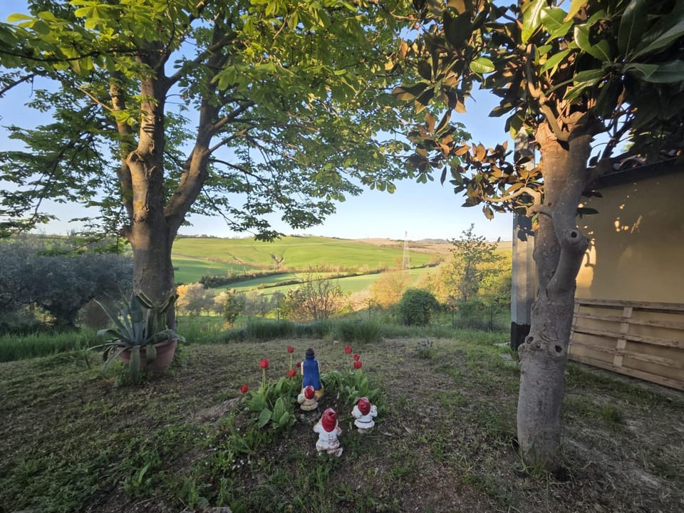 Garden view