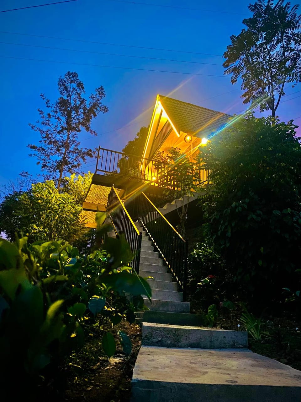 Property building, Night, Garden, Garden view