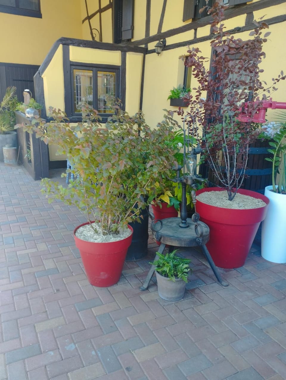 Inner courtyard view