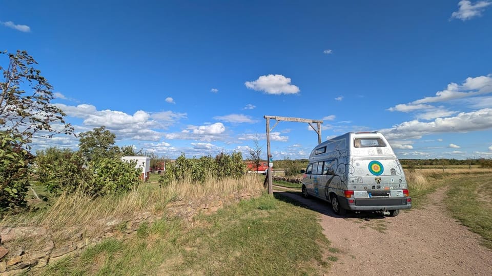Spring, Day, Neighbourhood, Natural landscape