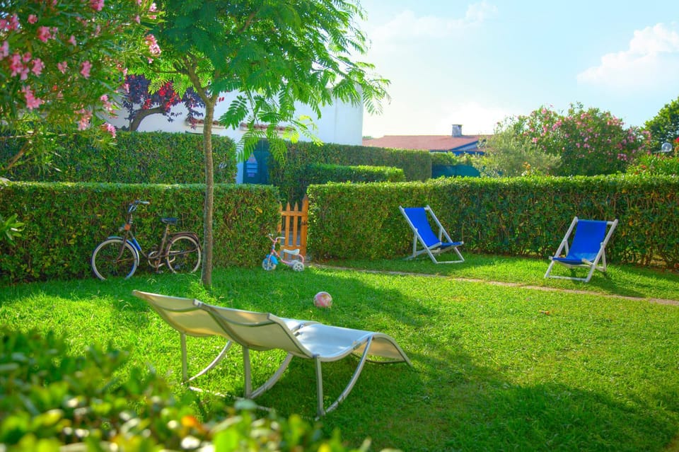 Garden, Lounge or bar