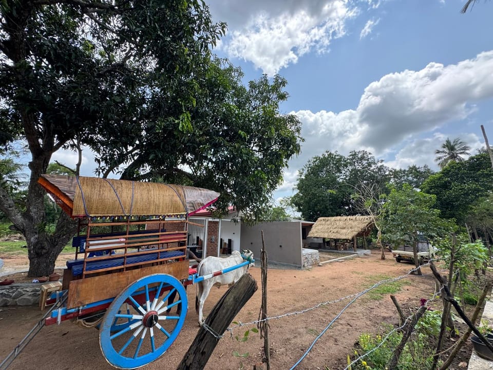 Wilpattu Leisure Villa Bed and Breakfast in Sri Lanka