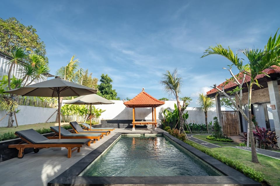 Natural landscape, Garden, Garden view, Pool view, Swimming pool, sunbed