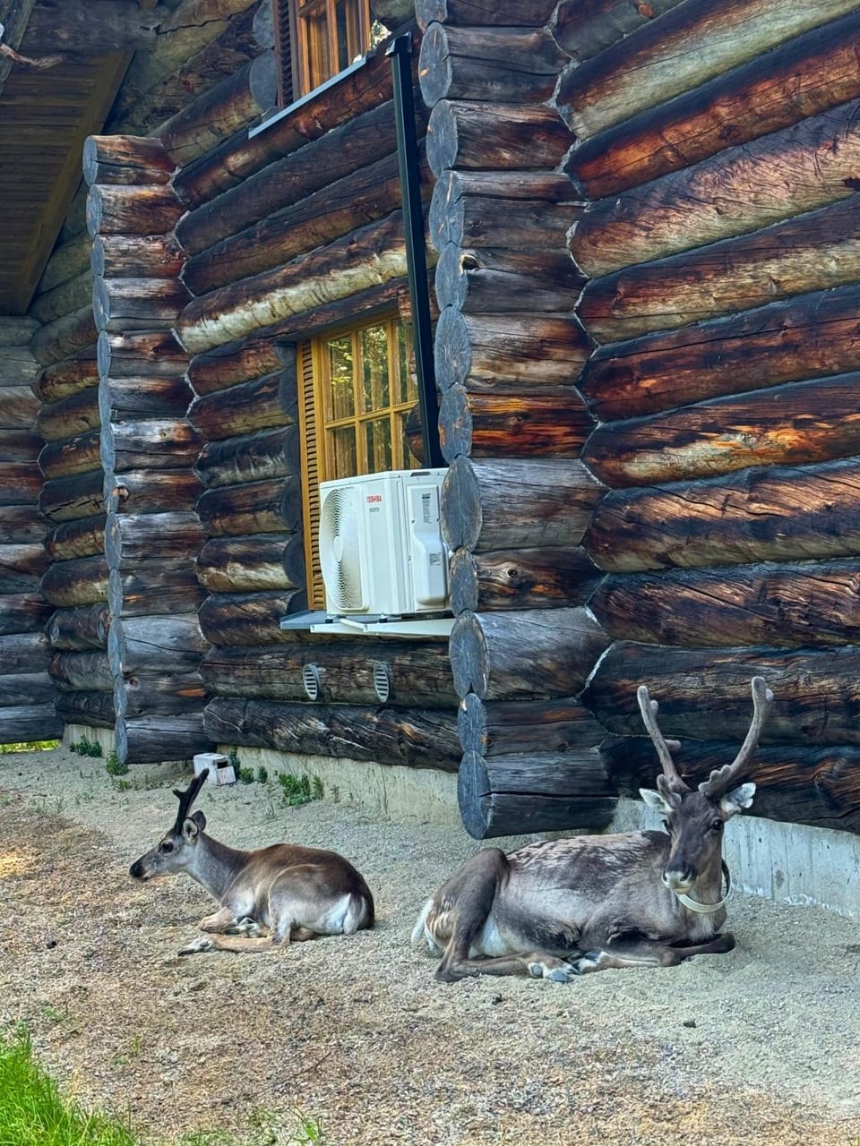 Property building, Activities