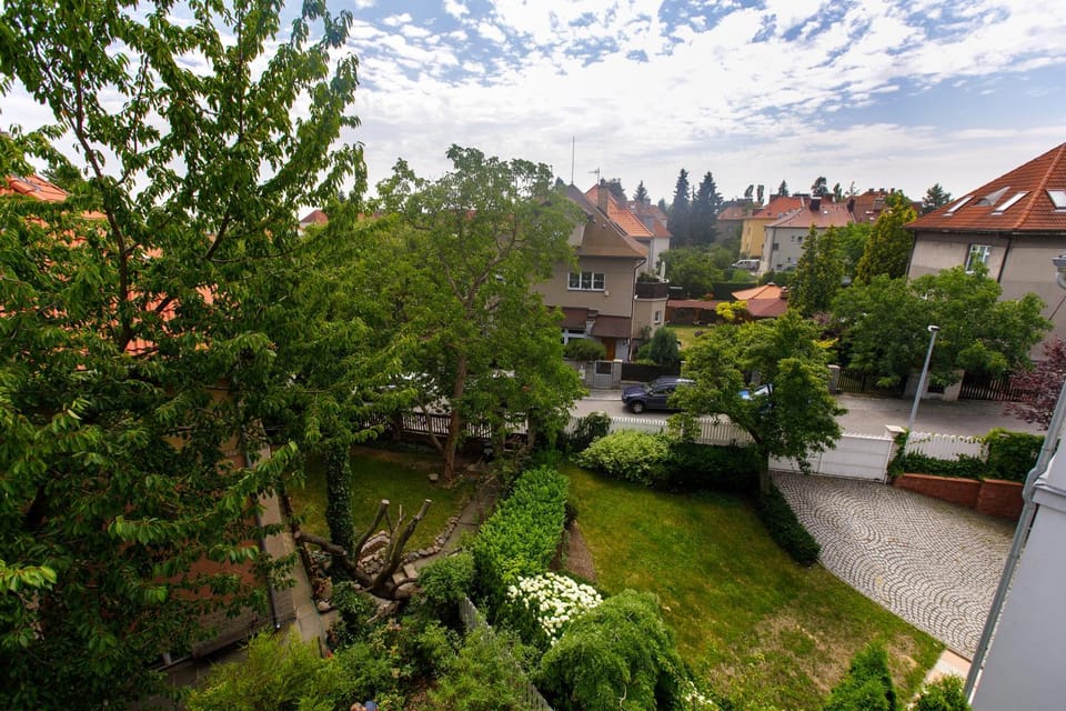 Garden view