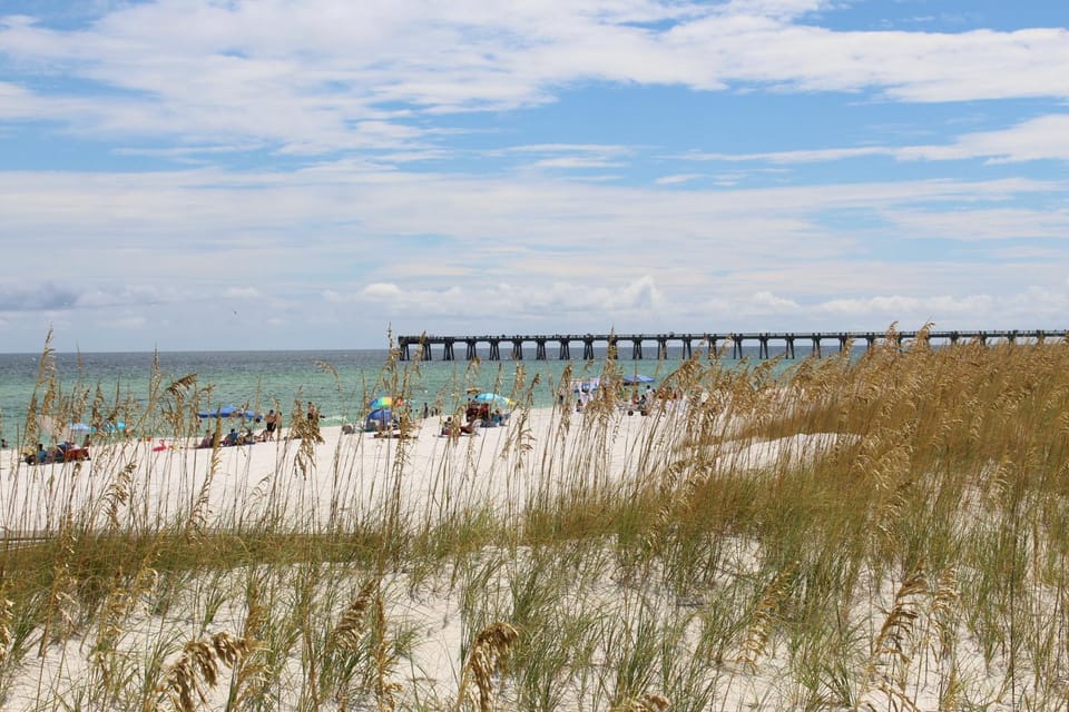 Gorgeous coastal home with plenty of space close to beach and Pet friendly House in Alabama