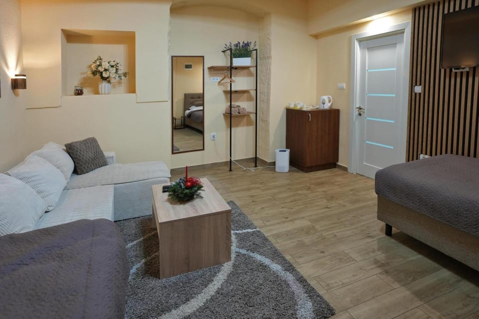 Apartmani u srcu grada Bed and Breakfast in Timiș County