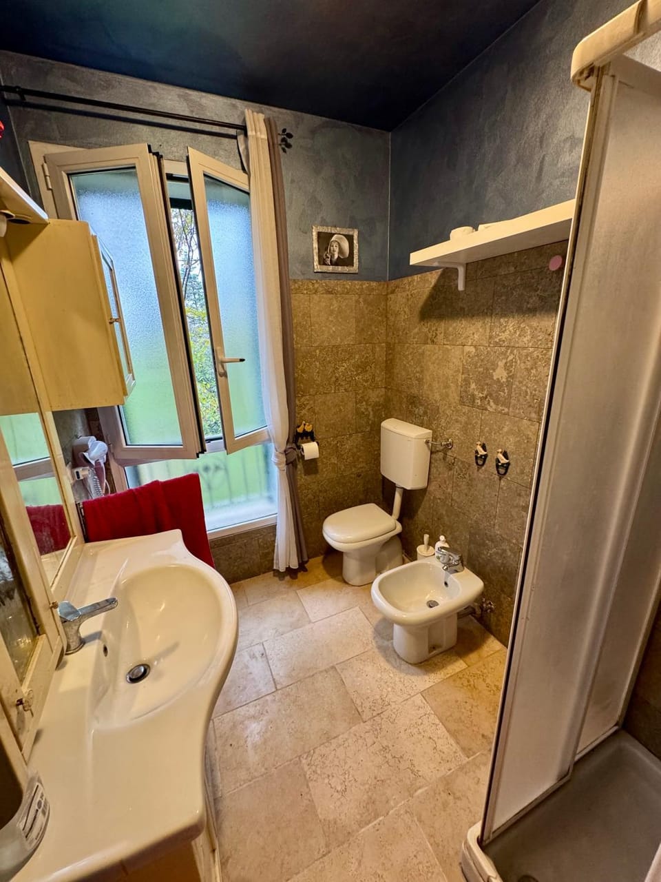 Shower, Toilet, Bathroom, bidet