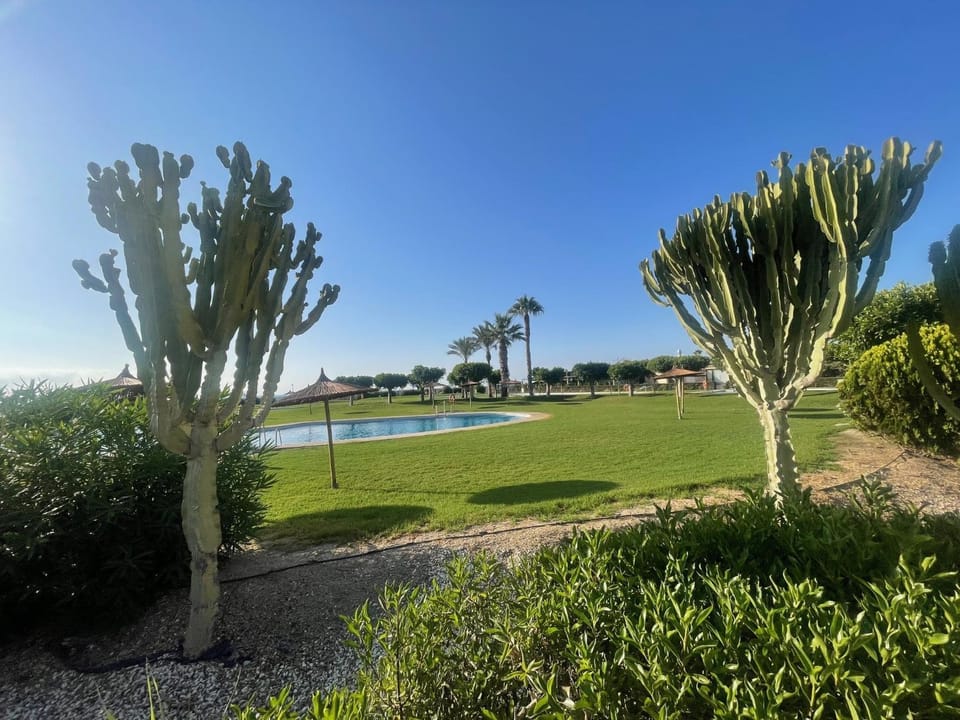 Garden, Pool view, Swimming pool