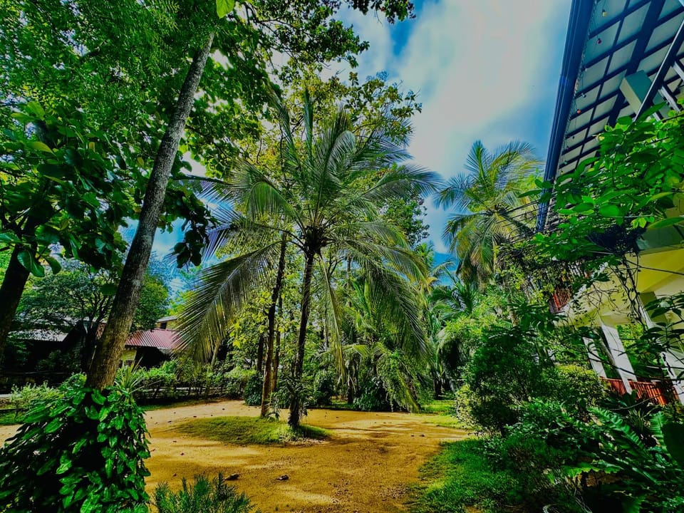 Sigiri Rainbow Lodge Nature lodge in Dambulla