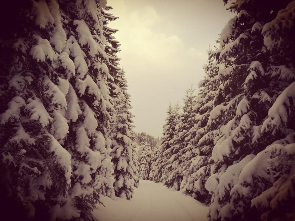 Natural landscape, Winter