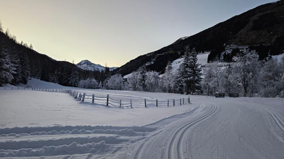 Gassers Apartment in Tyrol