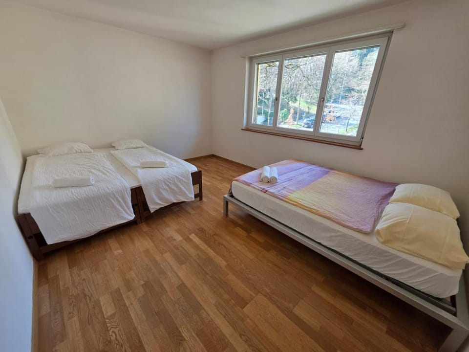 Large Flats, Zurich City Center - SCH Apartment in Zurich City