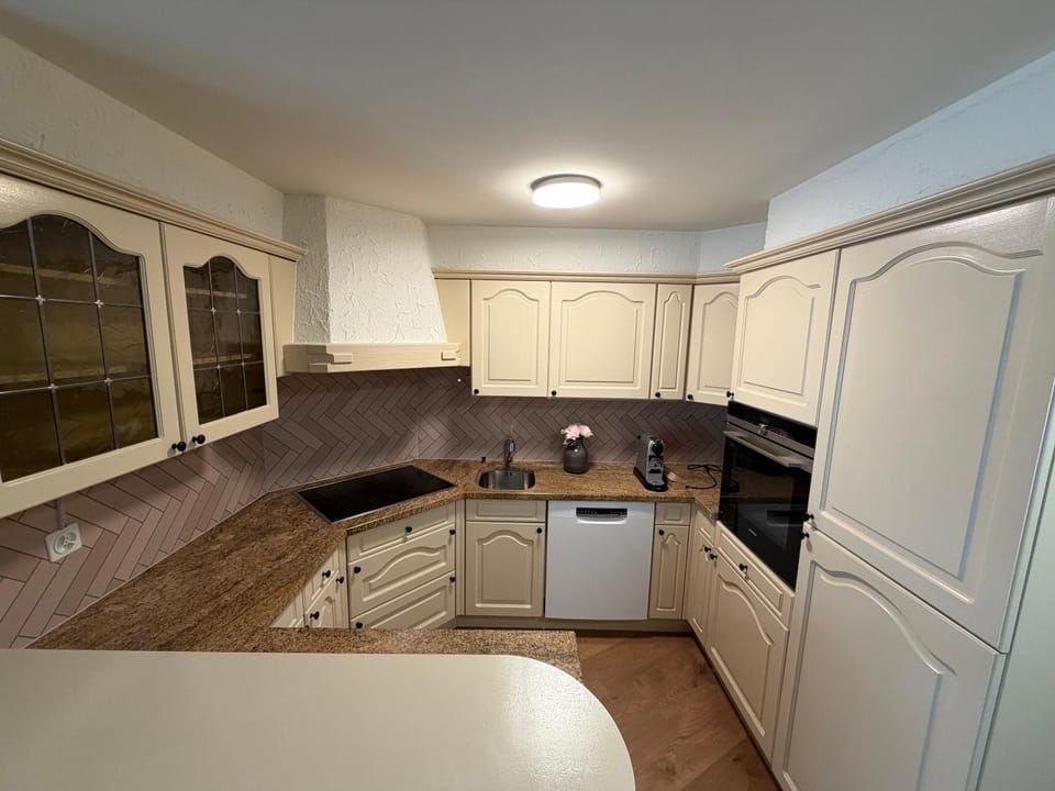 Kitchen or kitchenette, dishwasher, oven