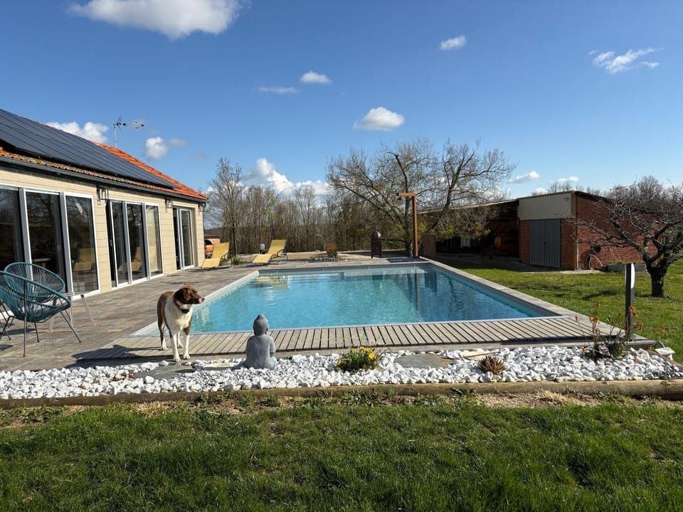 Pool view, Swimming pool, sunbed