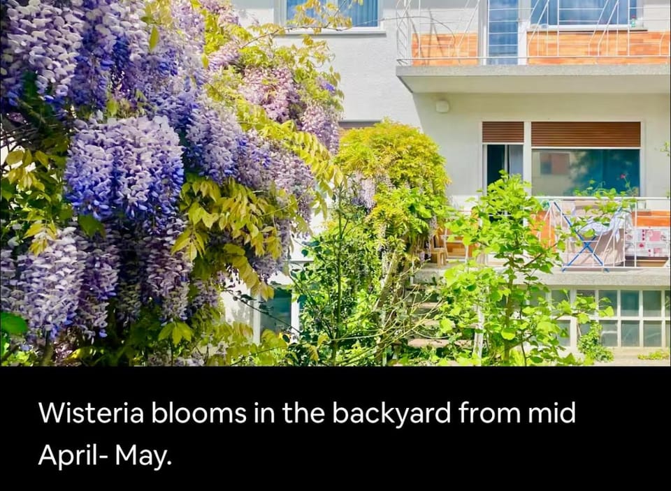 Property building, Spring, Garden, Balcony/Terrace, Garden view