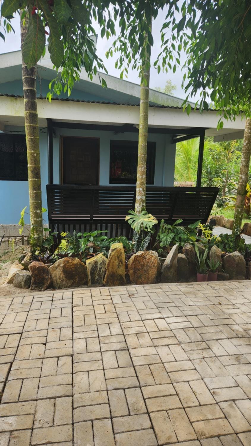Property building, Garden view