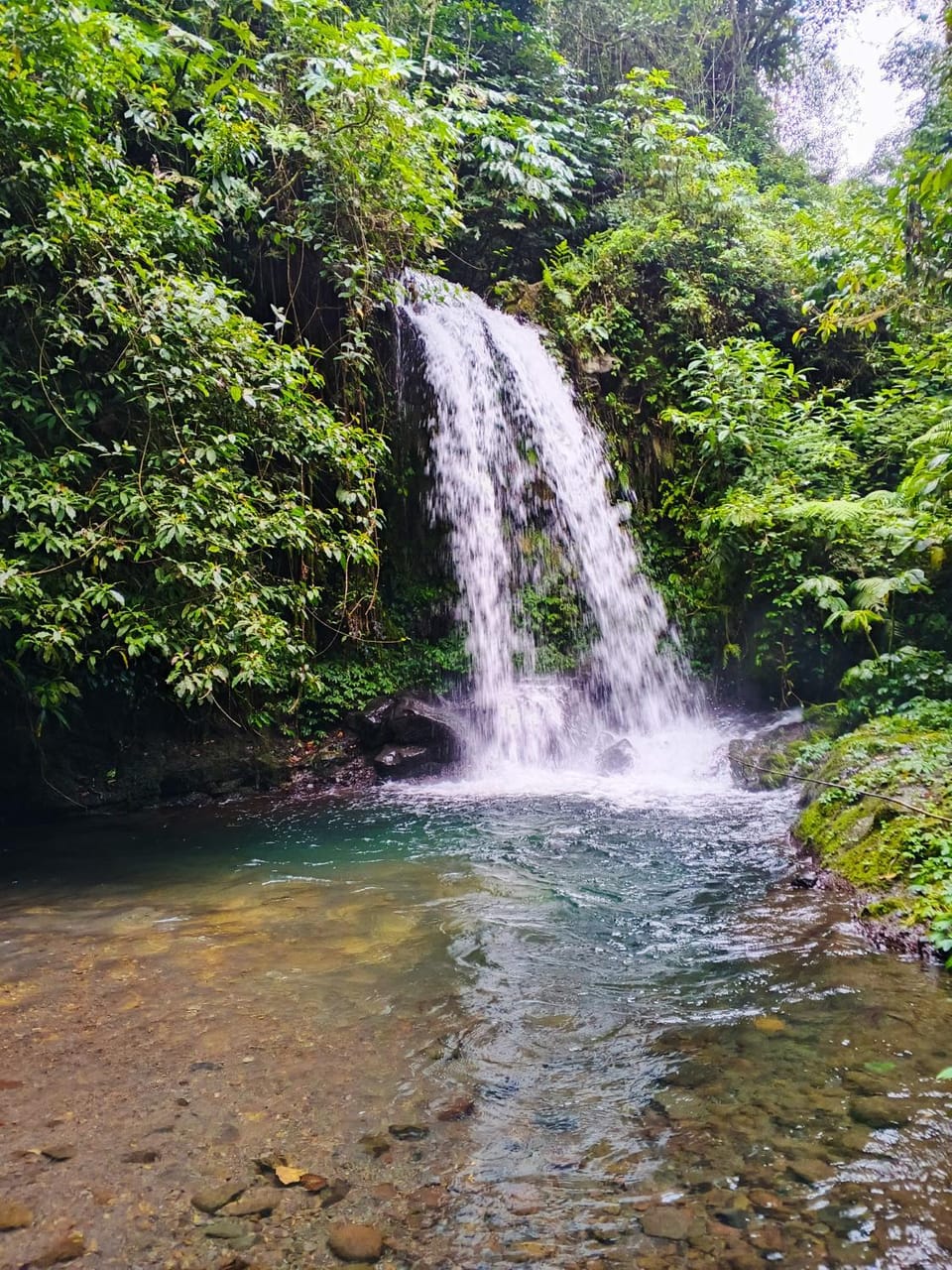 Keluncing Field Homestay Vacation rental in West Nusa Tenggara, Indonesia