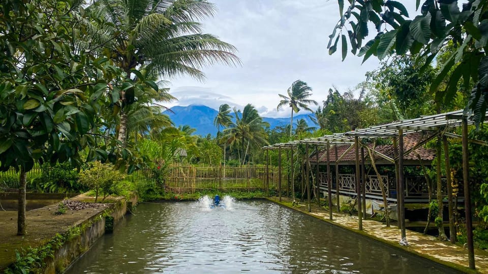Keluncing Field Homestay Vacation rental in West Nusa Tenggara, Indonesia