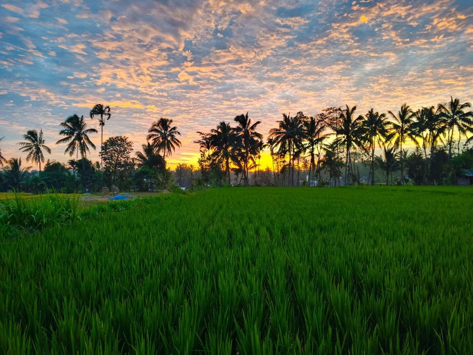 Keluncing Field Homestay Vacation rental in West Nusa Tenggara, Indonesia