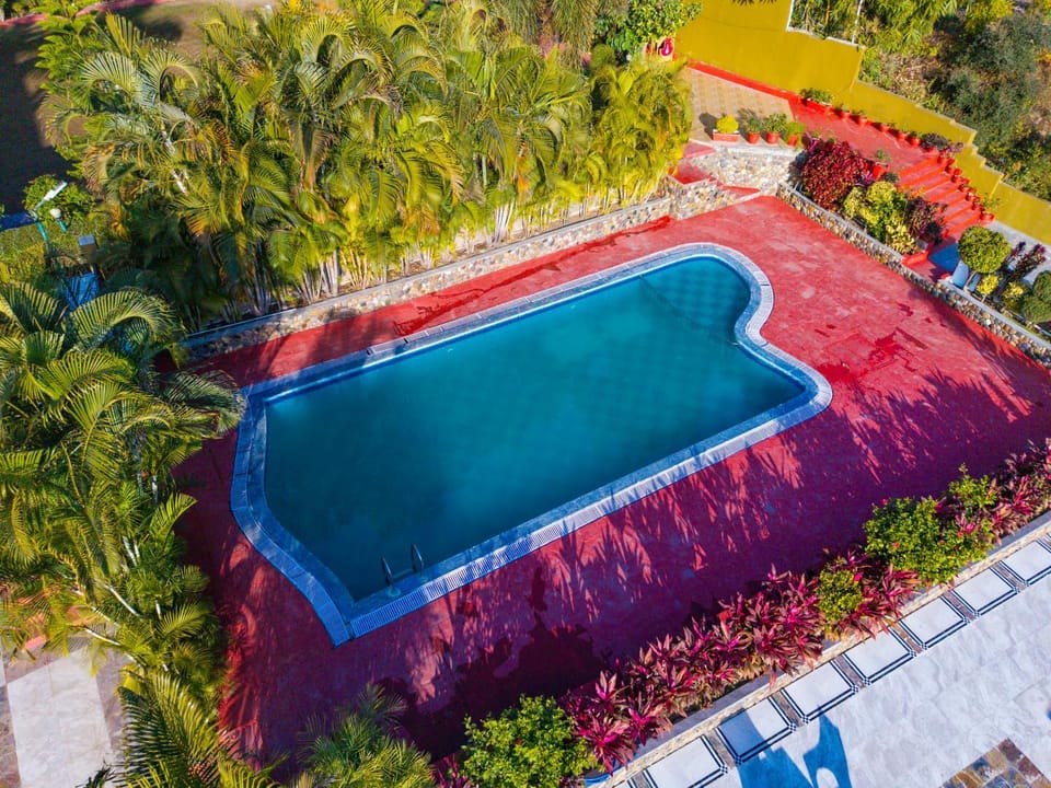 Day, Pool view, Swimming pool