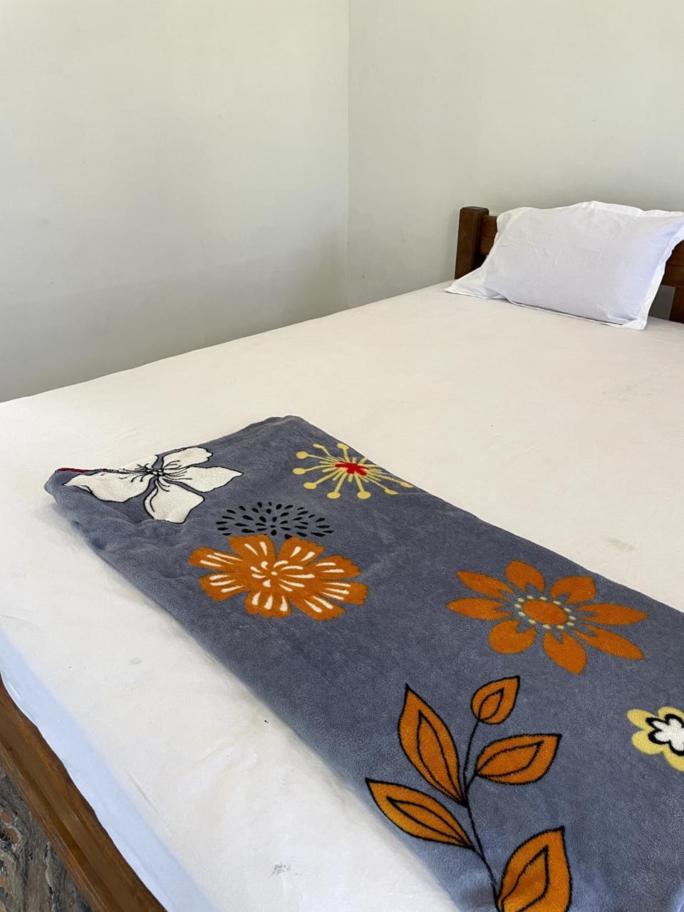 Mango tree room stay Vacation rental in Karnataka