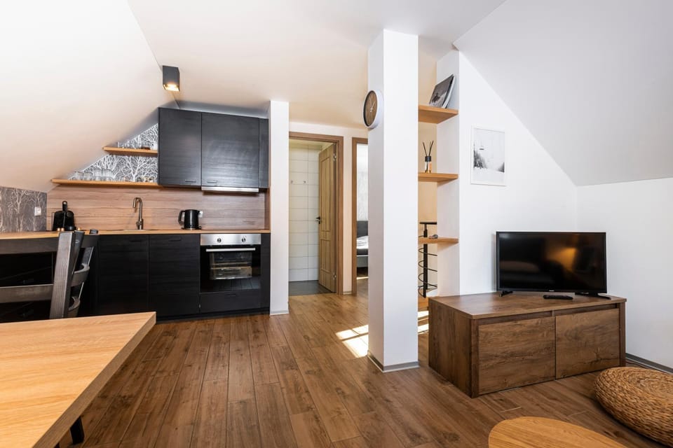 Communal lounge/ TV room, TV and multimedia, Kitchen or kitchenette, Living room, Seating area, Dining area, Evening entertainment, oven, stove