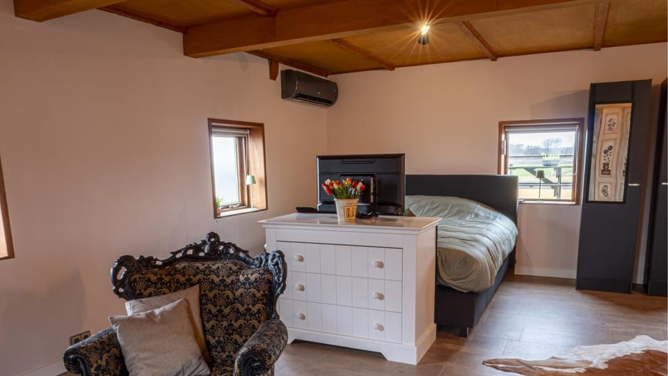 Bed, TV and multimedia, air conditioner