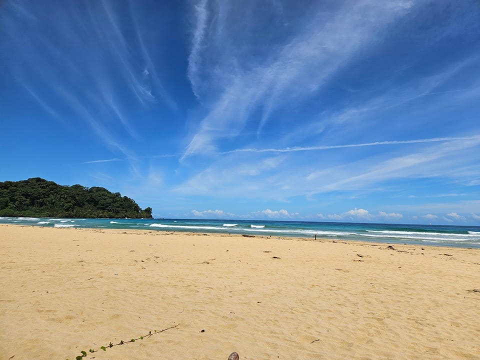 Tio Toms Guesthouse Bed and Breakfast in Bastimentos Island