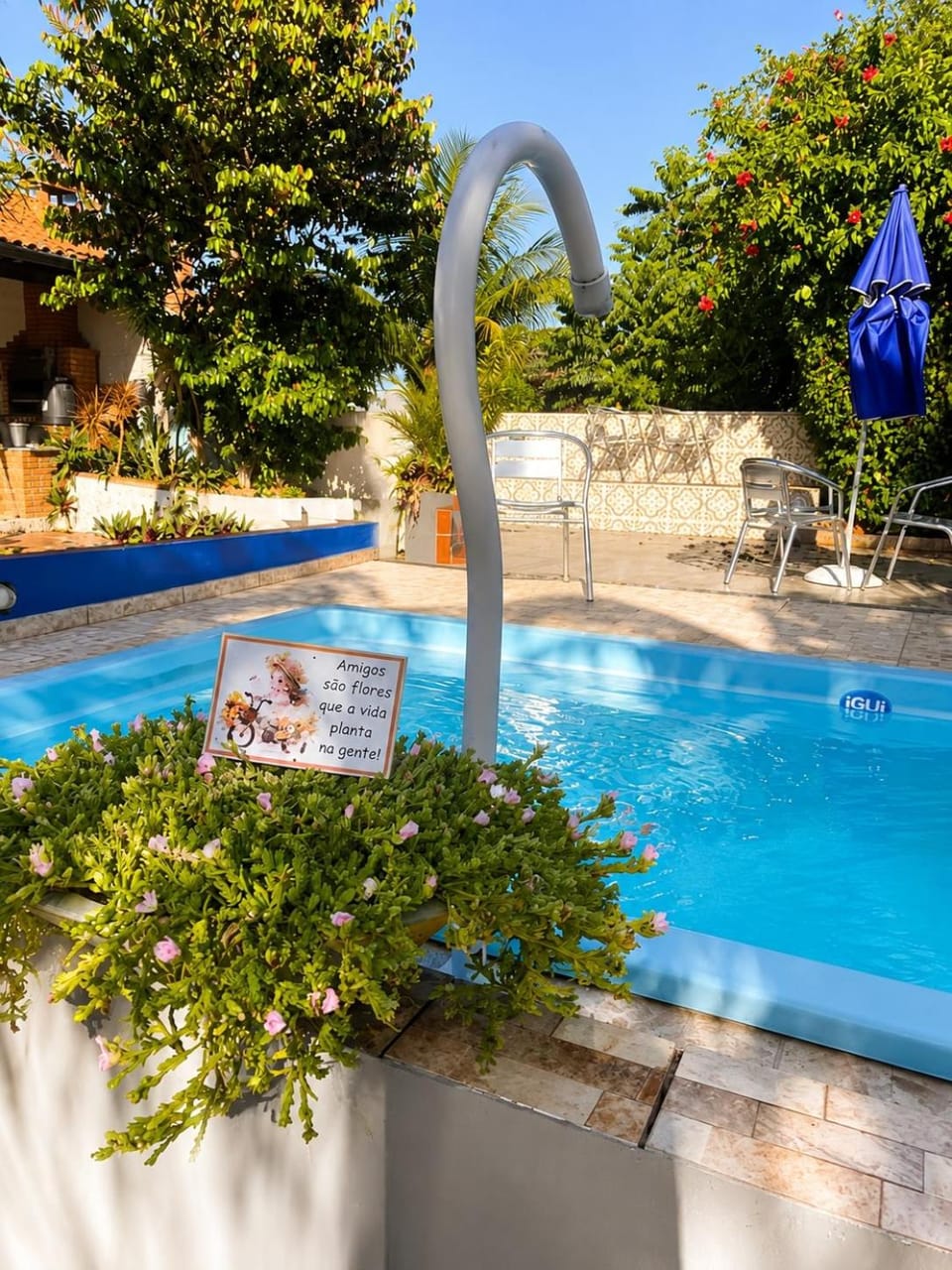 Garden, Garden view, Pool view, Swimming pool, sunbed