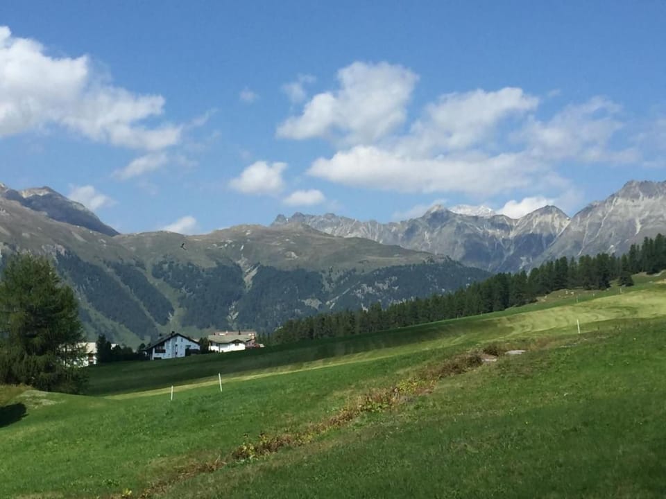 View (from property/room)