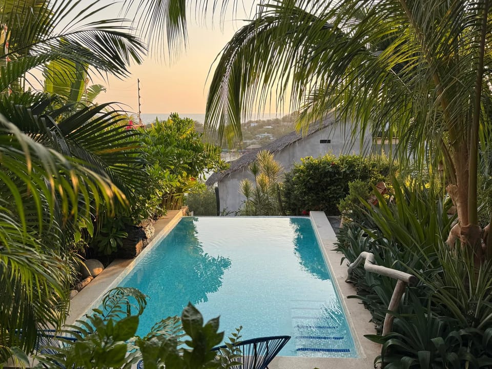 Garden, Pool view, Swimming pool