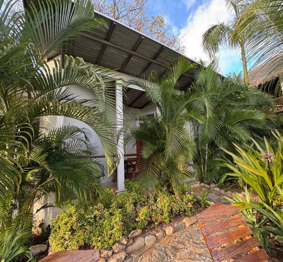 Property building, Day, Garden