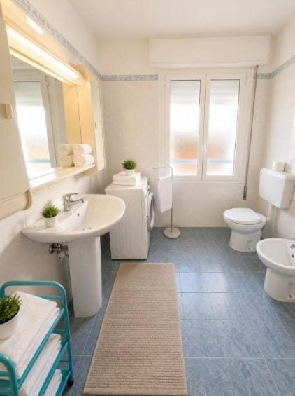 Shower, Toilet, Bathroom, bidet, washing machine