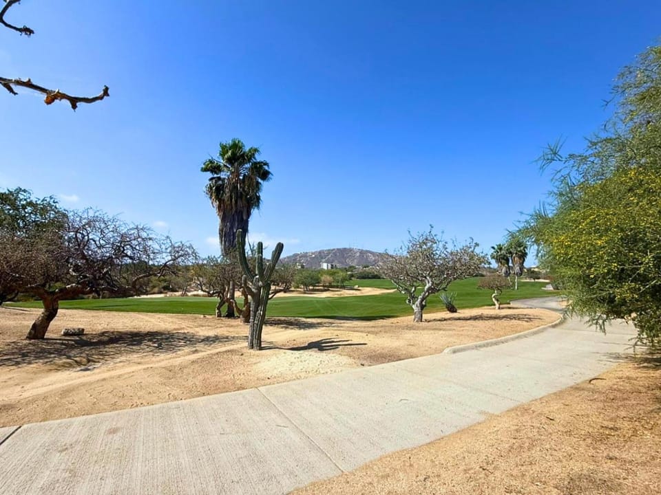 Golfcourse