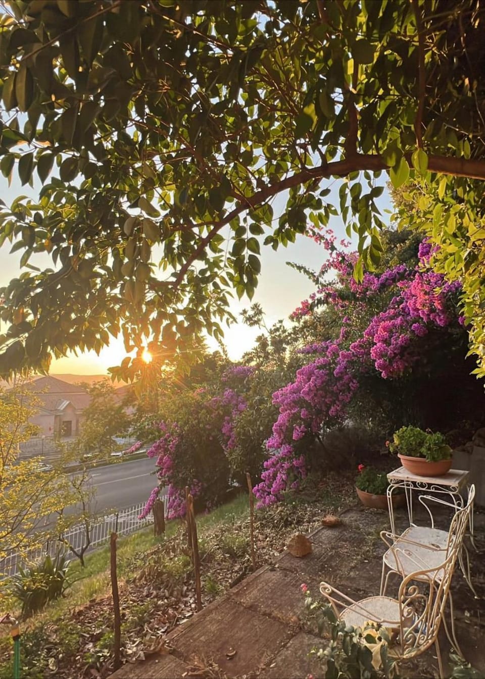 La Quiete Apartment Apartment in Massa Marittima