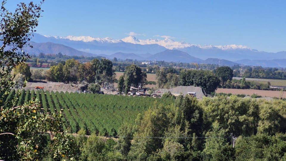 Apalta Vista Wine Lodge Nature lodge in O'Higgins, Chile