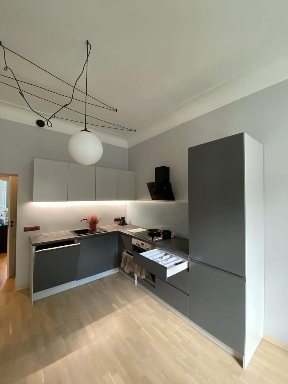 Living room, kitchen