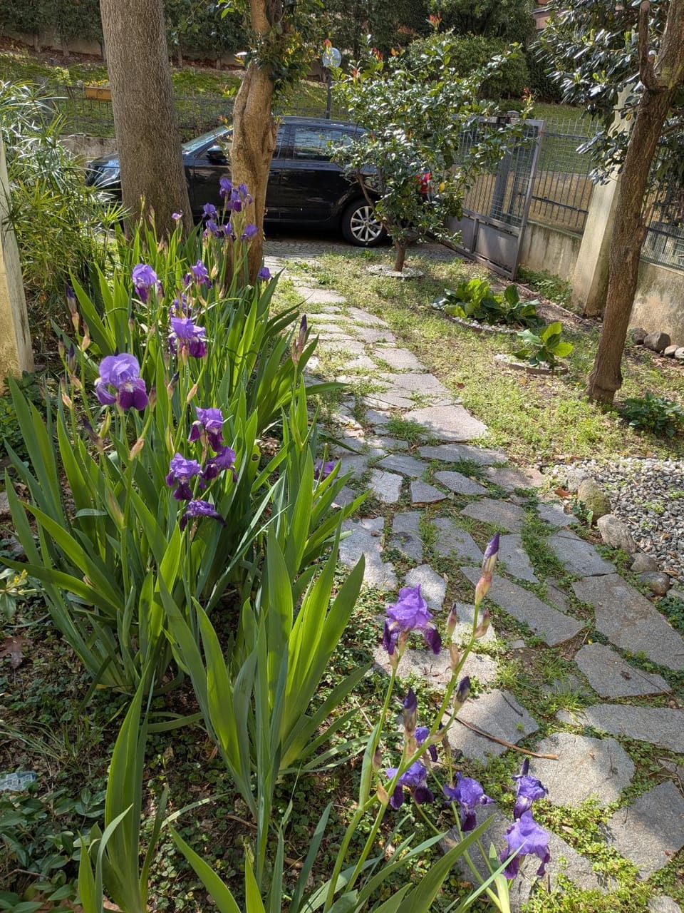 Il giardino segreto House in Savona